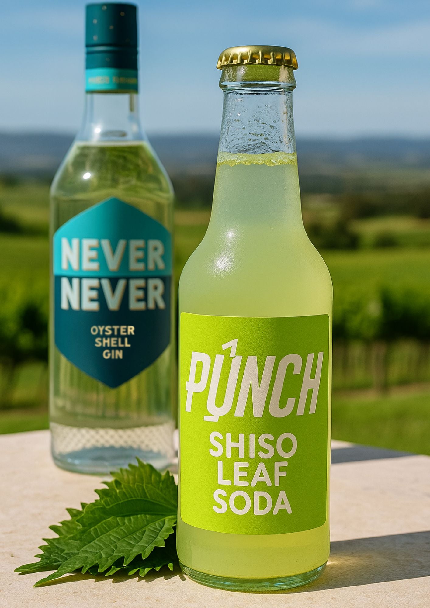 Never Never Gin & Shiso Soda